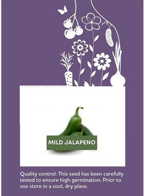 CYBEXIS F1 Hybrid Mild Jalapeno Pepper Chilli Seeds2400 Seeds Seed(2400 per packet)