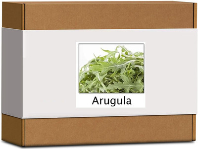 CYBEXIS High Germination Arugula Seeds2800 Seeds Seed(2800 per packet)
