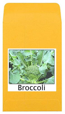 CYBEXIS Heirloom Broccoli Seeds2000 Seeds Seed(2000 per packet)