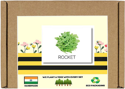 CYBEXIS F1 Hybrid Cultivated Rocket Seeds700 Seeds Seed(700 per packet)