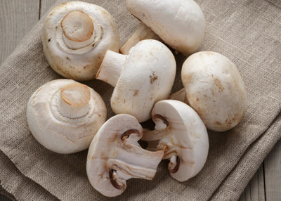 XOLDA Mushroom Hybrid Seed(26 per packet)