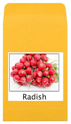 CYBEXIS Heirloom Round Radish Seeds2400 Seeds Seed(2400 per packet)