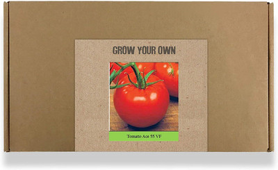 CYBEXIS Fast Germination Tomato Ace Seeds2000 Seeds Seed(2000 per packet)