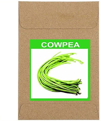 CYBEXIS Guarenteed Germination Cowpea Beans Seeds2000 Seeds Seed(2000 per packet)