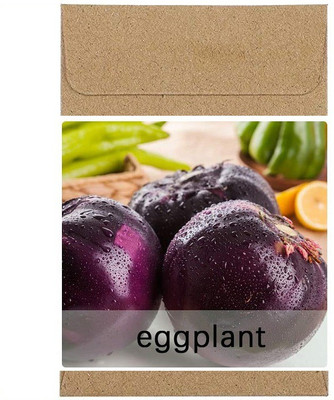 CYBEXIS Guarenteed Germination Black Round Brinjal Seeds Seeds2400 Seeds Seed(2400 per packet)