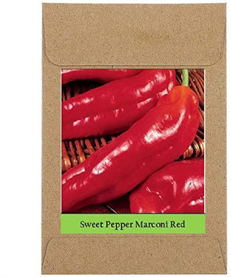 CYBEXIS Guarenteed Germination Sweet Pepper Marconi Red Chilli Seeds Seeds1200 Seeds Seed(1200 per packet)