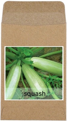 CYBEXIS Hybrid Zucchini/Squash Seeds100 Seeds Seed(100 per packet)