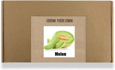 CYBEXIS Fast Germination Melon Seeds100 Seeds Seed(100 per packet)