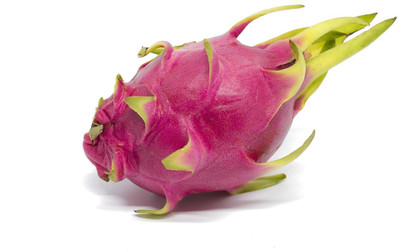 PLANTZON Dragon Fruit Seed(45 per packet)