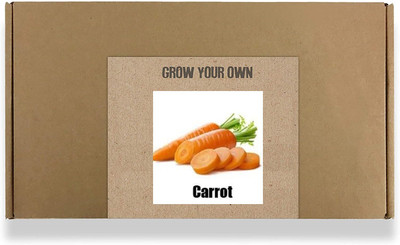 CYBEXIS Fast Germination Sweet Carrot Seeds1000 Seeds Seed(1000 per packet)