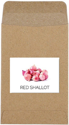 CYBEXIS Guarenteed Germination Red Shallot Onion Seeds2000 Seeds Seed(2000 per packet)