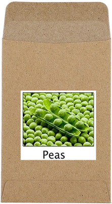 Qualtivate Peas Seed(100 per packet)
