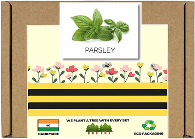 CYBEXIS F1 Hybrid Parsley Seeds2800 Seeds Seed(2800 per packet)
