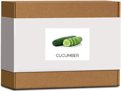 CYBEXIS High Germination Cucumber Seeds500 Seeds Seed(500 per packet)
