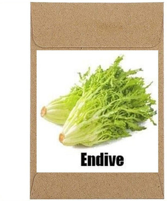 CYBEXIS Guarenteed Germination Endive Seeds2000 Seeds Seed(2000 per packet)