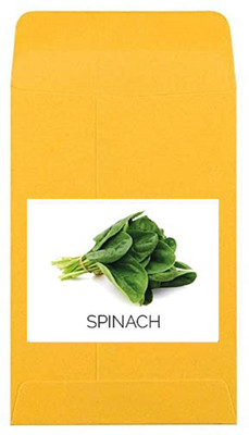 CYBEXIS Heirloom Spinach Seeds-500 Seeds Seed(500 per packet)