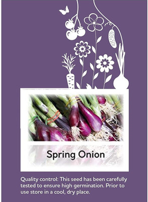 CYBEXIS F1 Hybrid Spring Onion Welsh Red Seeds2000 Seeds Seed(2000 per packet)