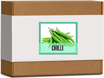 CYBEXIS High Germination Green Chilli Seeds1200 Seeds Seed(1200 per packet)