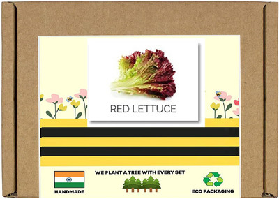CYBEXIS F1 Hybrid Red Lettuce Seeds2000 Seeds Seed(2000 per packet)
