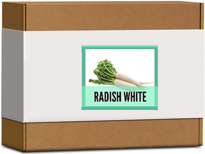 CYBEXIS High Germination Radish White Seeds1200 Seeds Seed(1200 per packet)