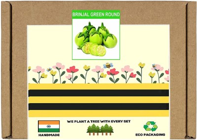 CYBEXIS F1 Hybrid Brinjal Green Round Seeds1200 Seeds Seed(1200 per packet)