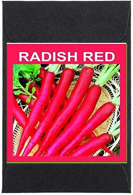 CYBEXIS Heirloom Radish Red Seeds2400 Seeds Seed(2400 per packet)