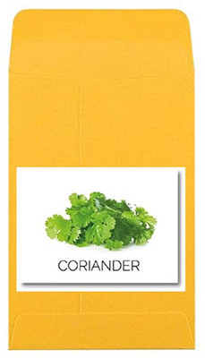 CYBEXIS Heirloom Coriander Seeds700 Seeds Seed(700 per packet)