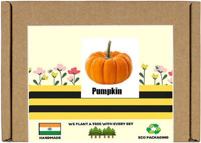 Qualtivate Pumpkin Seed(50 per packet)