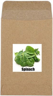 CYBEXIS Hybrid Spinach Seeds2000 Seeds Seed(2000 per packet)