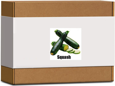 CYBEXIS High Germination Zucchini Seeds400 Seeds Seed(400 per packet)