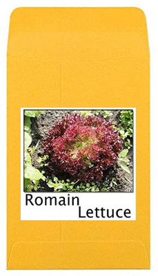 CYBEXIS Heirloom Romain Lettuce Seeds2000 Seeds Seed(2000 per packet)