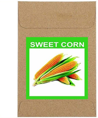 CYBEXIS Guarenteed Germination Sweet Corn Seeds2000 Seeds Seed(2000 per packet)
