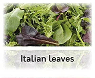 CYBEXIS Hybrid Italian said left mix Seeds1000 Seeds Seed(1000 per packet)
