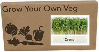 CYBEXIS Heirloom Cress fine curled Seeds700 Seeds Seed(700 per packet)