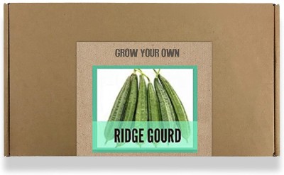 Qualtivate ® Fast Germination Ridge Gourd Seeds(150 Seeds) Seed(150 per packet)