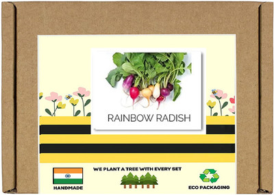 CYBEXIS F1 Hybrid Rainbow Radish Seeds600 Seeds Seed(600 per packet)