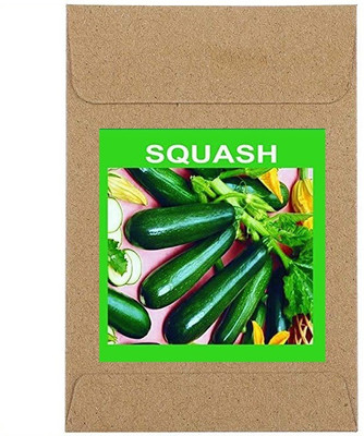 CYBEXIS Guarenteed Germination Zucchini/Squash Seeds100 Seeds Seed(100 per packet)