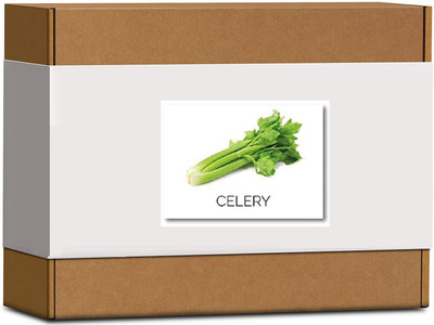CYBEXIS High Germination Green Celery Seeds2800 Seeds Seed(2800 per packet)