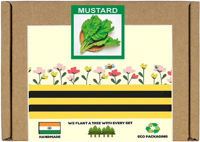 CYBEXIS F1 Hybrid Japanese Mizuna Mustard Seeds2000 Seeds Seed(2000 per packet)