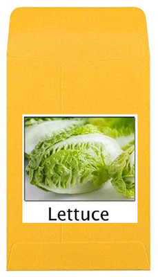 CYBEXIS Heirloom Lettuce Seeds1000 Seeds Seed(1000 per packet)