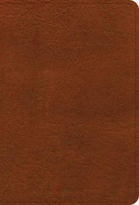 NASB Large Print Compact Reference Bible, Burnt Sienna(English, Leather / fine binding, unknown)