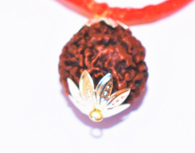 ng gems 5 Mukhi Natural and Original Nepal Rudraksha Rudrakash Silver Pendant for Men and Women self Certified-7 Silk Dori Pendant