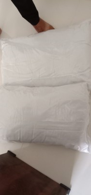 RIDDHIMA FASHION Microfibre Nature Sleeping Pillow Pack of 2(White)