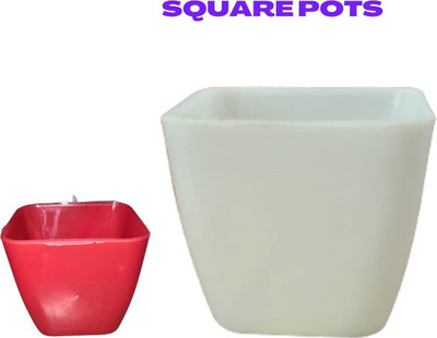 Naturally Green Square Pot SP 1 : 2inches pack of 20 Plant Container Set(Pack of 20, Plastic)