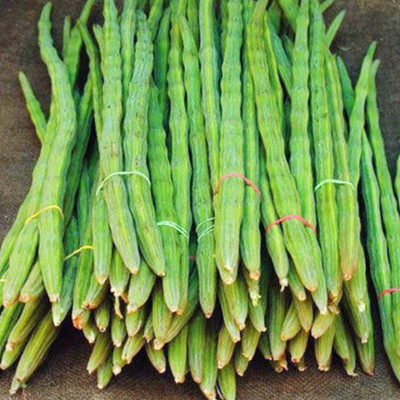 PRADHAM SEEDS DRUMSTICK PKM-1 Seed(1 kg)
