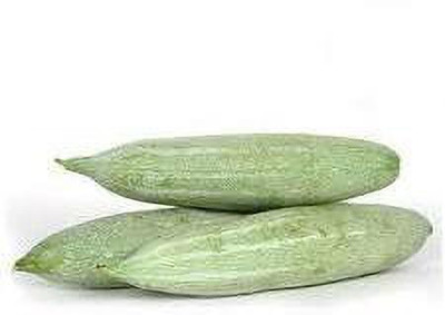 PRADHAM SEEDS SNAKE GOURD Seed(10 g)