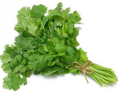 PRADHAM SEEDS CORIANDER KHUSHBOO MULTI CUT Seed(10 g)