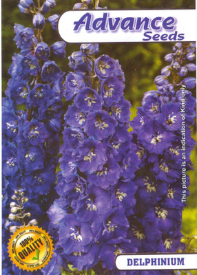 Advance DELPHINIUM FLOWER Seed(50 per packet)