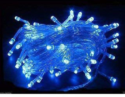 Olae 45 LEDs 22.86 m Blue Steady Bulb Rice Lights(Pack of 1)