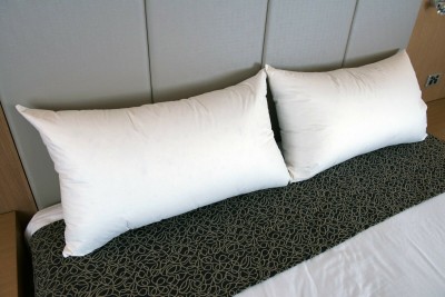 Flipkart SmartBuy Polyester Fibre Solid Sleeping Pillow Pack of 2(White)